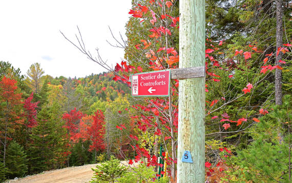 Sentier pédestre National des Contreforts accessible à pied du chalet à louer de la Montagne Saint-Côme