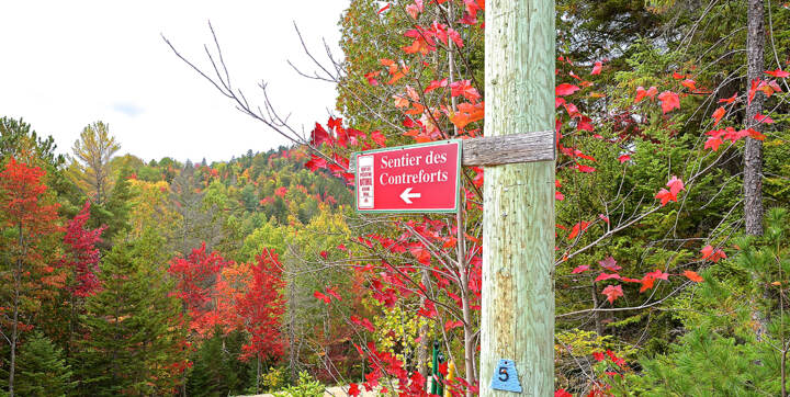 Sentier pédestre National des Contreforts accessible à pied du chalet à louer de la Montagne Saint-Côme