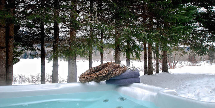 Spa privé chalet en location au bord de l'eau Domaine McCormick Le Canotier tout équipé 